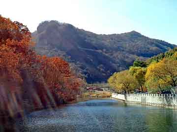 新澳天天开奖资料大全旅游团，王永胜